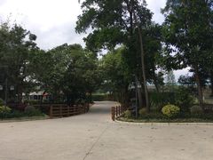 -林丰温泉度假山庄