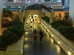 -香港大学