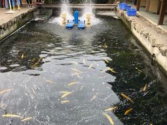 -京北渔家傲