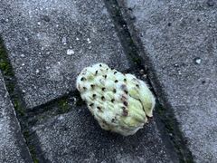 -北川羌城旅游区