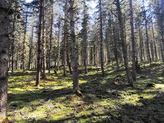 -硗碛藏寨·神木垒景区