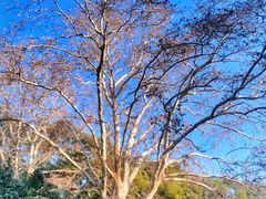-西郊宾馆·1921餐厅