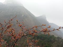 -沂蒙山旅游区云蒙景区(蒙山国家森林公园)