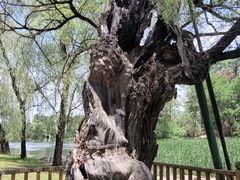 -承德避暑山庄景区