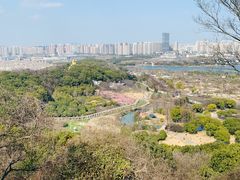 -苏州上方山国家森林公园