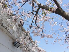 -苏州上方山国家森林公园