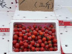 -三旗百汇商品城