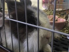 -藦茜花园宠物主题亲子互动体验馆(国顺东路店)