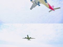 -空港花田景区