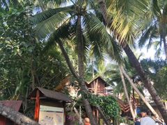 -南湾猴岛+椰田古寨一日游