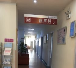 -北京安琪