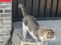 -四门塔风景区