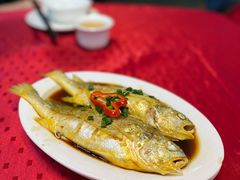 -蛇口康乐快餐鱼仔档(翠苑小区店)