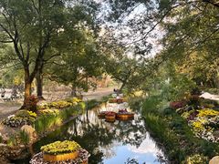 -共青国家森林公园-售票处