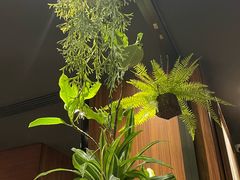 -西堤牛排(北京国瑞店)