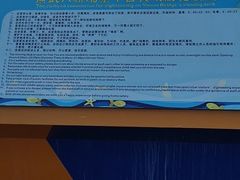 -演武大桥观景平台