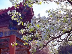 -洛阳市隋唐城遗址植物园