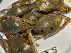 -苏格里岛自助海鲜烤肉(中州万达店)