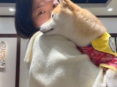 -逗柴咖啡屋·狗咖猫咖宠物桌游