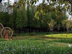 -森波拉奇妙世界