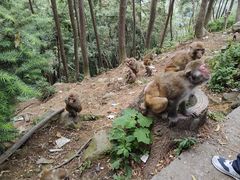-黔灵山公园