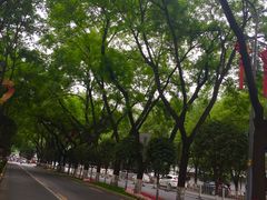 -大雁塔文化休闲景区-北广场