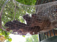 -石家庄市动物园