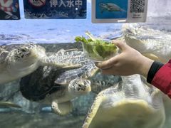 -福州罗源湾海洋世界旅游区