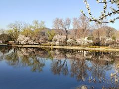 -北京植物园南门售票处