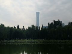 -团结湖公园