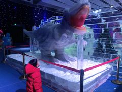 -宁波冰雪大世界(北仑区)