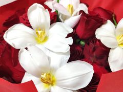 -四季餐厅·新津菜(环湖中路店)