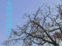 -西堤公园