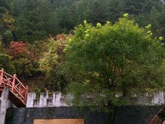 -商洛老君山旅游风景区