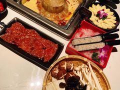 -鼎膳常火锅(华阳店)