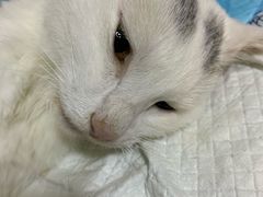 -美联众合动物医院·24h转诊中心