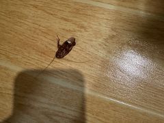 -海友酒店(上海静安寺店)