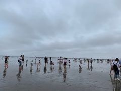 -奉贤海滩