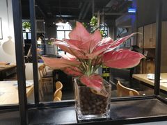 -靓靓蒸虾(中山里店)
