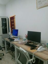 -碧莲盛·不剃发植发