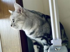 -宠颐生中康贝怡动物医院