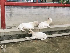 -有喜胶东小馆(太申祥和店)