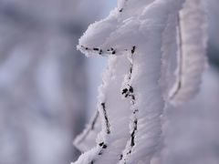 -东白山
