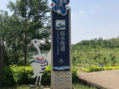 -丁香湖公园