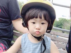 -圣淘沙天际线斜坡滑车