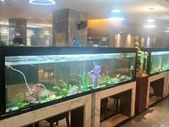 -水立方国际汤泉(六一中路店)