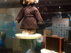 -济州岛泰迪熊博物馆