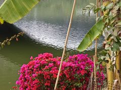 -中国移动南方基地