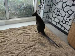 -海合安武汉极地海洋公园