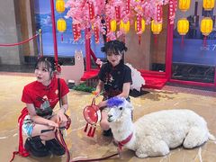 -珠海海泉湾神秘岛亲子乐园